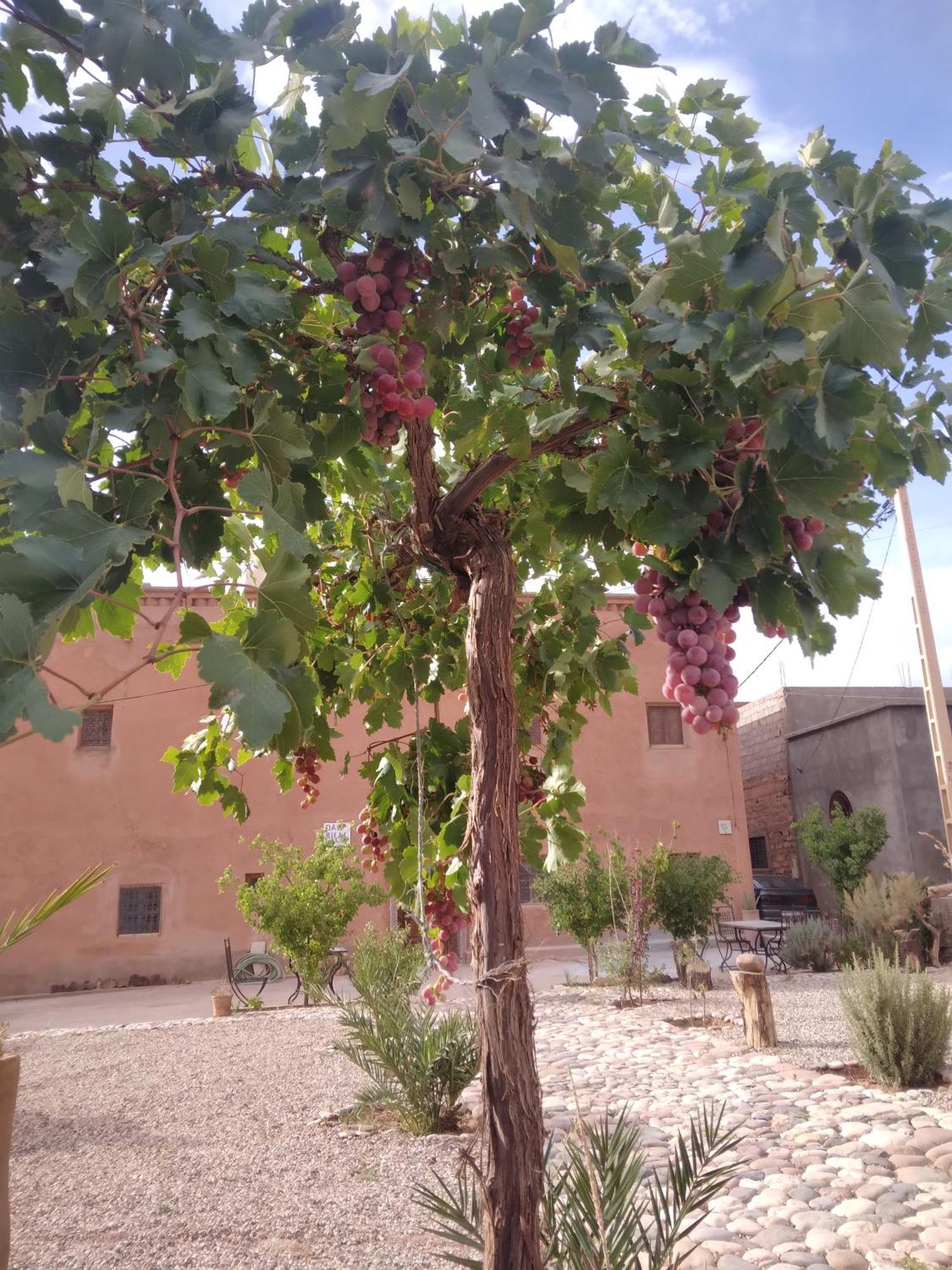 מלון עיט בן האדו Dar Bilal מראה חיצוני תמונה